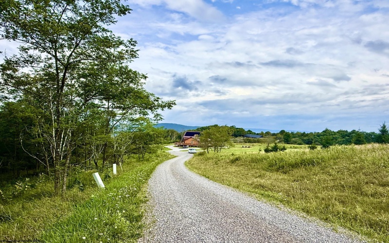 Lot 46 Thunderstruck Road, Harman, West Virginia 26270-0000, 0 , 0 ,0,Lots/land,For Sale,Thunderstruck,0,10166533