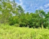 Lot 46 Thunderstruck Road, Harman, West Virginia 26270-0000, 0 , 0 ,0,Lots/land,For Sale,Thunderstruck,0,10166533