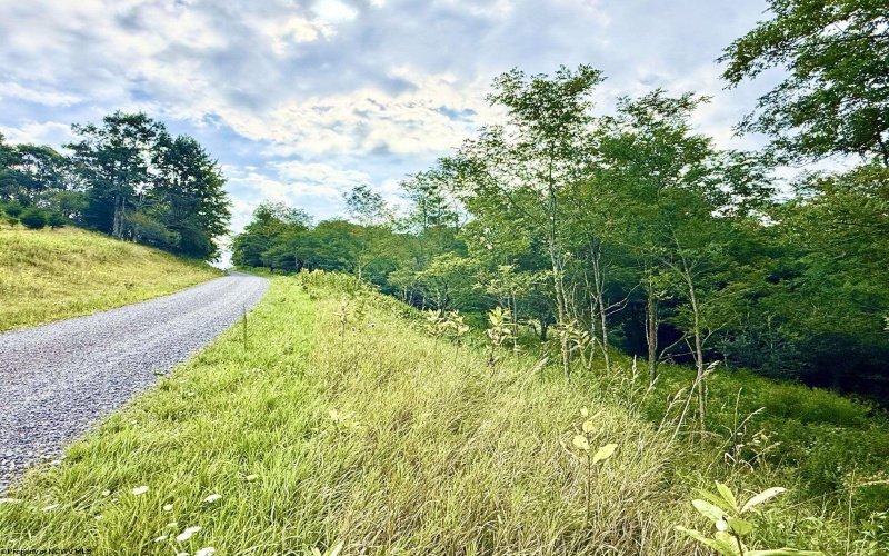 Lot 46 Thunderstruck Road, Harman, West Virginia 26270-0000, 0 , 0 ,0,Lots/land,For Sale,Thunderstruck,0,10166533