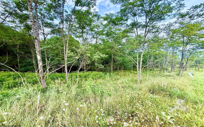 Lot 46 Thunderstruck Road, Harman, West Virginia 26270-0000, 0 , 0 ,0,Lots/land,For Sale,Thunderstruck,0,10166533