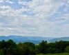 Lot 46 Thunderstruck Road, Harman, West Virginia 26270-0000, 0 , 0 ,0,Lots/land,For Sale,Thunderstruck,0,10166533