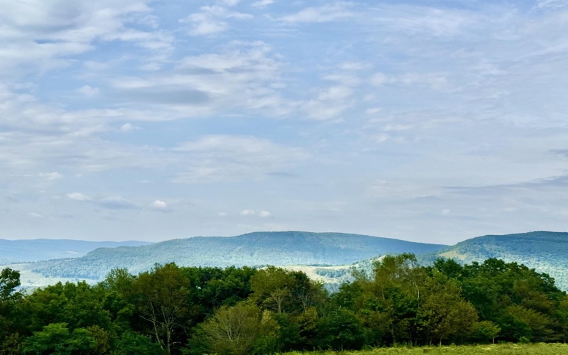 Lot 46 Thunderstruck Road, Harman, West Virginia 26270-0000, 0 , 0 ,0,Lots/land,For Sale,Thunderstruck,0,10166533