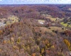 265 Middletown Road, Shinnston, West Virginia 26431, 0 , 0 ,0,Lots/land,For Sale,Middletown,0,10166527