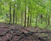 Lot 1 Weidman Run Road, Wheeling, West Virginia 26003, 0 , 0 ,0,Lots/land,For Sale,Weidman Run,0,10166526