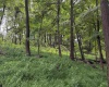 Lot 1 Weidman Run Road, Wheeling, West Virginia 26003, 0 , 0 ,0,Lots/land,For Sale,Weidman Run,0,10166526