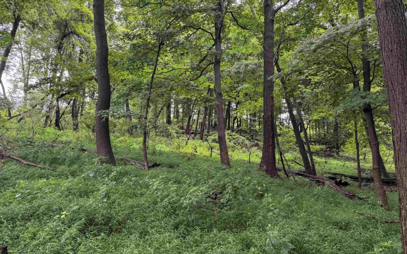 Lot 1 Weidman Run Road, Wheeling, West Virginia 26003, 0 , 0 ,0,Lots/land,For Sale,Weidman Run,0,10166526