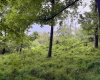 Lot 1 Weidman Run Road, Wheeling, West Virginia 26003, 0 , 0 ,0,Lots/land,For Sale,Weidman Run,0,10166526