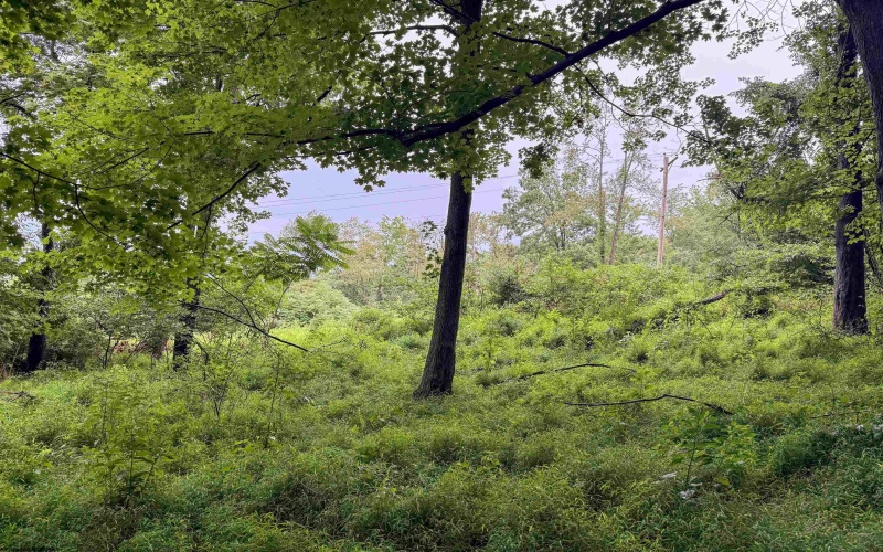 Lot 1 Weidman Run Road, Wheeling, West Virginia 26003, 0 , 0 ,0,Lots/land,For Sale,Weidman Run,0,10166526