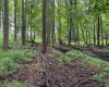 Lot 1 Weidman Run Road, Wheeling, West Virginia 26003, 0 , 0 ,0,Lots/land,For Sale,Weidman Run,0,10166526
