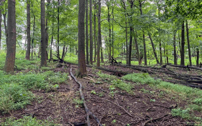 Lot 1 Weidman Run Road, Wheeling, West Virginia 26003, 0 , 0 ,0,Lots/land,For Sale,Weidman Run,0,10166526