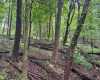 Lot 1 Weidman Run Road, Wheeling, West Virginia 26003, 0 , 0 ,0,Lots/land,For Sale,Weidman Run,0,10166526