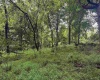 Lot 1 Weidman Run Road, Wheeling, West Virginia 26003, 0 , 0 ,0,Lots/land,For Sale,Weidman Run,0,10166526
