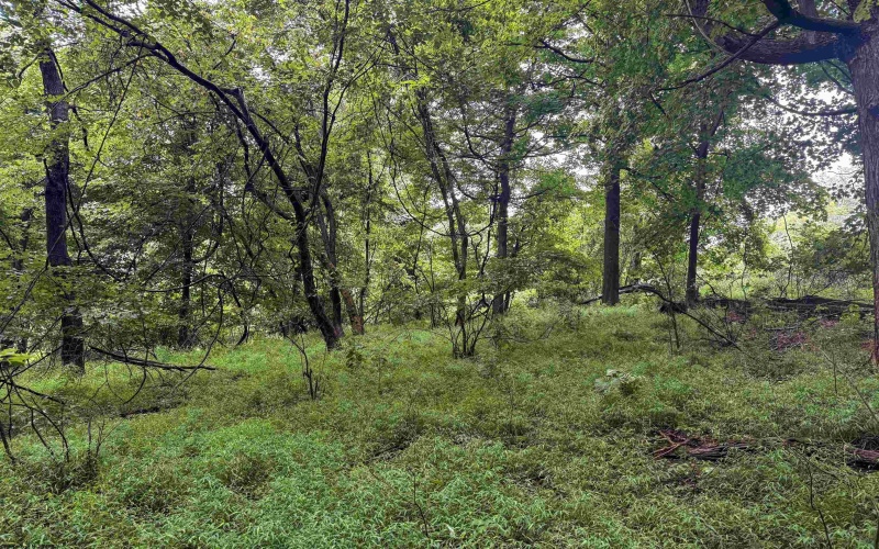 Lot 1 Weidman Run Road, Wheeling, West Virginia 26003, 0 , 0 ,0,Lots/land,For Sale,Weidman Run,0,10166526