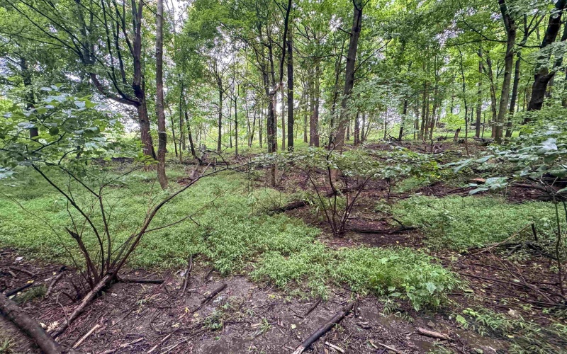 Lot 1 Weidman Run Road, Wheeling, West Virginia 26003, 0 , 0 ,0,Lots/land,For Sale,Weidman Run,0,10166526