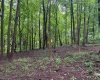 Lot 1 Weidman Run Road, Wheeling, West Virginia 26003, 0 , 0 ,0,Lots/land,For Sale,Weidman Run,0,10166526