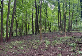 Lot 1 Weidman Run Road, Wheeling, West Virginia 26003, 0 , 0 ,0,Lots/land,For Sale,Weidman Run,0,10166526
