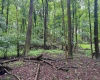 Lot 1 Weidman Run Road, Wheeling, West Virginia 26003, 0 , 0 ,0,Lots/land,For Sale,Weidman Run,0,10166526