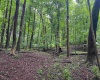 Lot 1 Weidman Run Road, Wheeling, West Virginia 26003, 0 , 0 ,0,Lots/land,For Sale,Weidman Run,0,10166526
