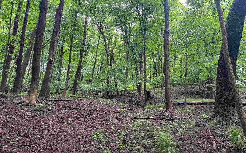 Lot 1 Weidman Run Road, Wheeling, West Virginia 26003, 0 , 0 ,0,Lots/land,For Sale,Weidman Run,0,10166526