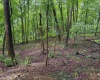 Lot 1 Weidman Run Road, Wheeling, West Virginia 26003, 0 , 0 ,0,Lots/land,For Sale,Weidman Run,0,10166526