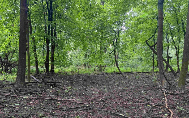 Lot 1 Weidman Run Road, Wheeling, West Virginia 26003, 0 , 0 ,0,Lots/land,For Sale,Weidman Run,0,10166526