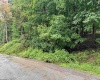 Lot 1 Weidman Run Road, Wheeling, West Virginia 26003, 0 , 0 ,0,Lots/land,For Sale,Weidman Run,0,10166526