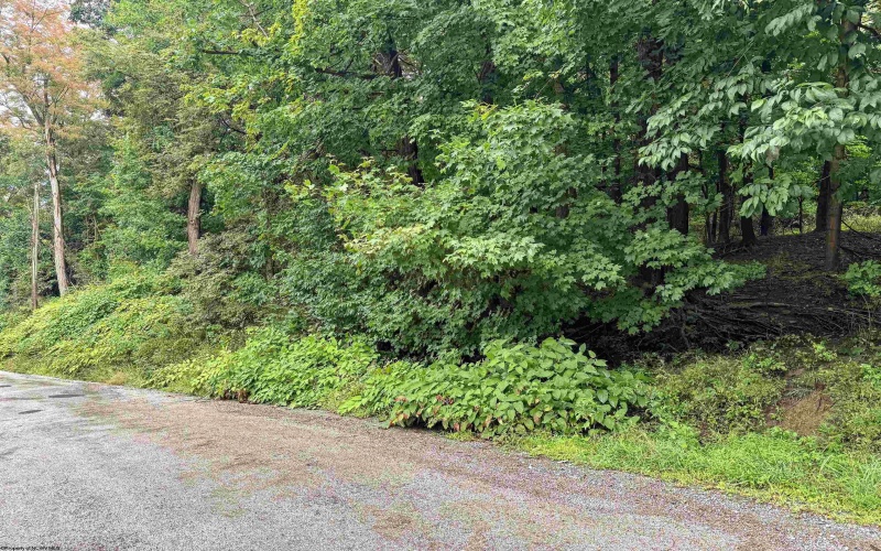Lot 1 Weidman Run Road, Wheeling, West Virginia 26003, 0 , 0 ,0,Lots/land,For Sale,Weidman Run,0,10166526