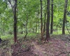 Lot 1 Weidman Run Road, Wheeling, West Virginia 26003, 0 , 0 ,0,Lots/land,For Sale,Weidman Run,0,10166526