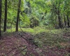 Lot 1 Weidman Run Road, Wheeling, West Virginia 26003, 0 , 0 ,0,Lots/land,For Sale,Weidman Run,0,10166526