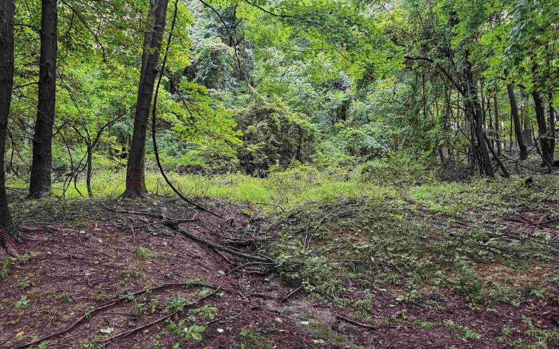 Lot 1 Weidman Run Road, Wheeling, West Virginia 26003, 0 , 0 ,0,Lots/land,For Sale,Weidman Run,0,10166526