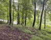 Lot 1 Weidman Run Road, Wheeling, West Virginia 26003, 0 , 0 ,0,Lots/land,For Sale,Weidman Run,0,10166526