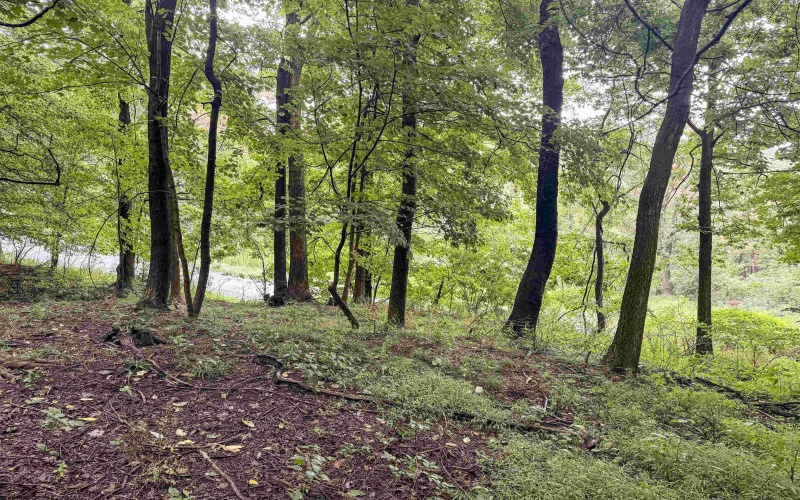 Lot 1 Weidman Run Road, Wheeling, West Virginia 26003, 0 , 0 ,0,Lots/land,For Sale,Weidman Run,0,10166526