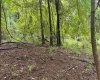 Lot 1 Weidman Run Road, Wheeling, West Virginia 26003, 0 , 0 ,0,Lots/land,For Sale,Weidman Run,0,10166526