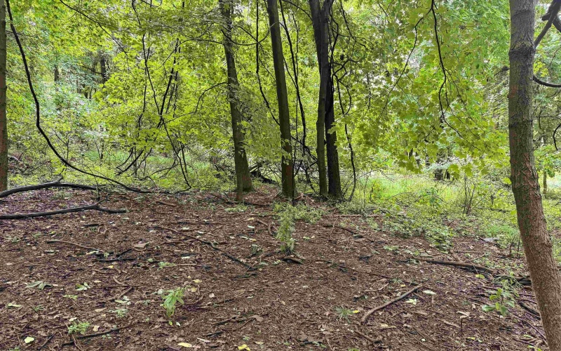 Lot 1 Weidman Run Road, Wheeling, West Virginia 26003, 0 , 0 ,0,Lots/land,For Sale,Weidman Run,0,10166526