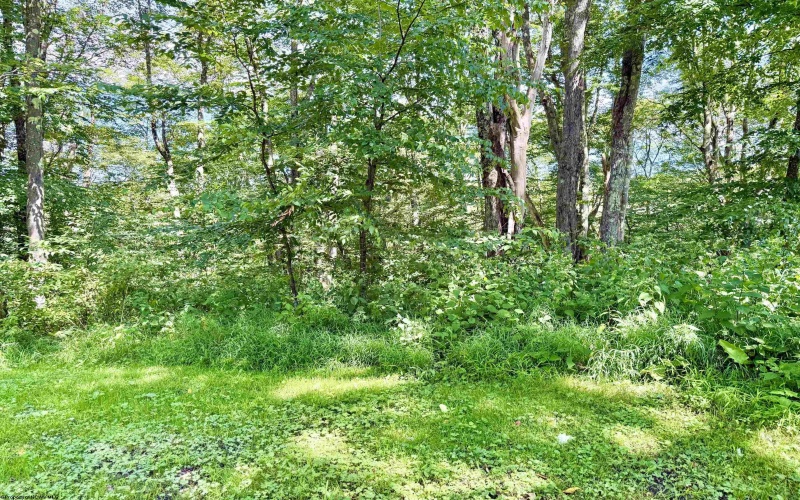 112 Hillside Drive, Thomas, West Virginia 26292-0000, 4 Bedrooms Bedrooms, 8 Rooms Rooms,2 BathroomsBathrooms,Single Family Detached,For Sale,Hillside,0,10166571