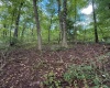 0 Carol Street, Buckhannon, West Virginia 26201, 0 , 0 ,0,Lots/land,For Sale,Carol,0,10166555