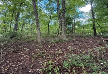 0 Carol Street, Buckhannon, West Virginia 26201, 0 , 0 ,0,Lots/land,For Sale,Carol,0,10166555