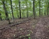 0 Carol Street, Buckhannon, West Virginia 26201, 0 , 0 ,0,Lots/land,For Sale,Carol,0,10166555