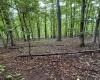 0 Carol Street, Buckhannon, West Virginia 26201, 0 , 0 ,0,Lots/land,For Sale,Carol,0,10166555