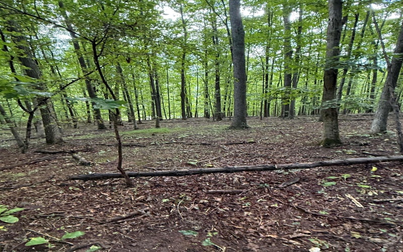 0 Carol Street, Buckhannon, West Virginia 26201, 0 , 0 ,0,Lots/land,For Sale,Carol,0,10166555