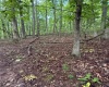 0 Carol Street, Buckhannon, West Virginia 26201, 0 , 0 ,0,Lots/land,For Sale,Carol,0,10166555