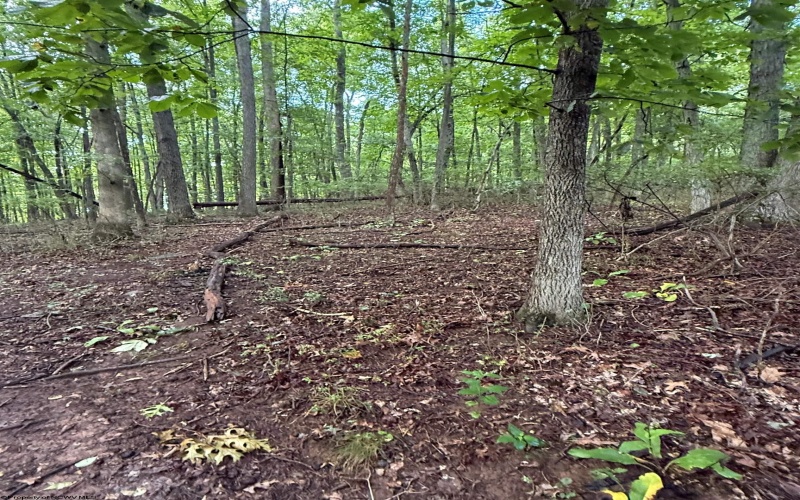 0 Carol Street, Buckhannon, West Virginia 26201, 0 , 0 ,0,Lots/land,For Sale,Carol,0,10166555