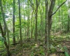 7 Roaring Plains Drive, Dryfork, West Virginia 26263, 0 , 0 ,0,Lots/land,For Sale,Roaring Plains,0,10166563