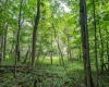 7 Roaring Plains Drive, Dryfork, West Virginia 26263, 0 , 0 ,0,Lots/land,For Sale,Roaring Plains,0,10166563