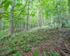 7 Roaring Plains Drive, Dryfork, West Virginia 26263, 0 , 0 ,0,Lots/land,For Sale,Roaring Plains,0,10166563