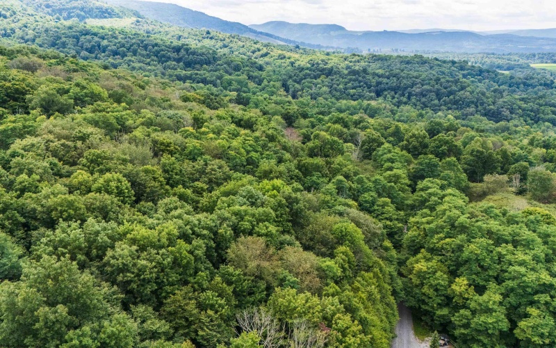 7 Roaring Plains Drive, Dryfork, West Virginia 26263, 0 , 0 ,0,Lots/land,For Sale,Roaring Plains,0,10166563