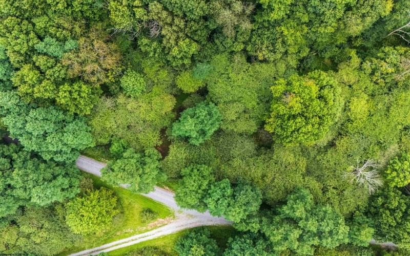 7 Roaring Plains Drive, Dryfork, West Virginia 26263, 0 , 0 ,0,Lots/land,For Sale,Roaring Plains,0,10166563
