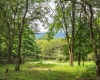 7 Roaring Plains Drive, Dryfork, West Virginia 26263, 0 , 0 ,0,Lots/land,For Sale,Roaring Plains,0,10166563