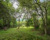 7 Roaring Plains Drive, Dryfork, West Virginia 26263, 0 , 0 ,0,Lots/land,For Sale,Roaring Plains,0,10166563