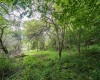 7 Roaring Plains Drive, Dryfork, West Virginia 26263, 0 , 0 ,0,Lots/land,For Sale,Roaring Plains,0,10166563